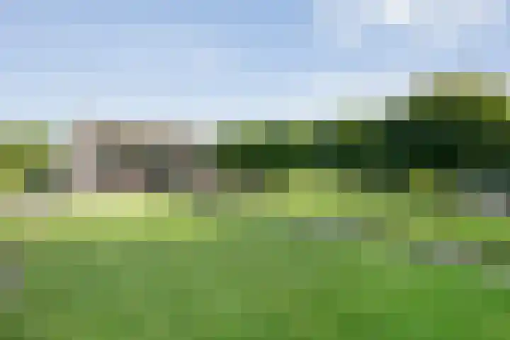 Oude Marswal 40 Zwolle thumbnail 49