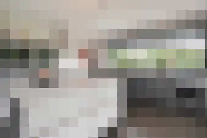 Oude Marswal 40 Zwolle thumbnail 5