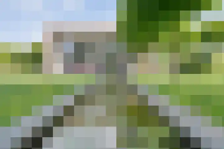 Oude Marswal 40 Zwolle thumbnail 50