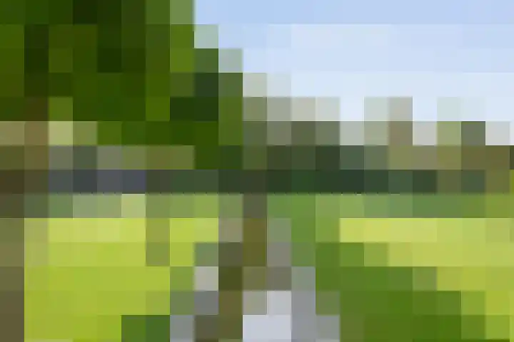 Oude Marswal 40 Zwolle thumbnail 52