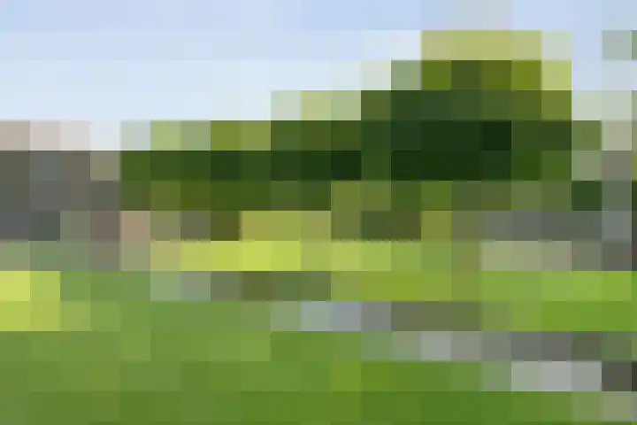 Oude Marswal 40 Zwolle thumbnail 54