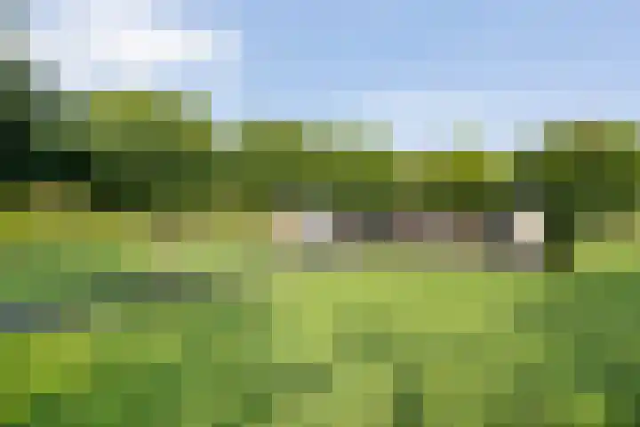 Oude Marswal 40 Zwolle thumbnail 55
