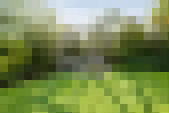 Oude Marswal 40 Zwolle thumbnail 56
