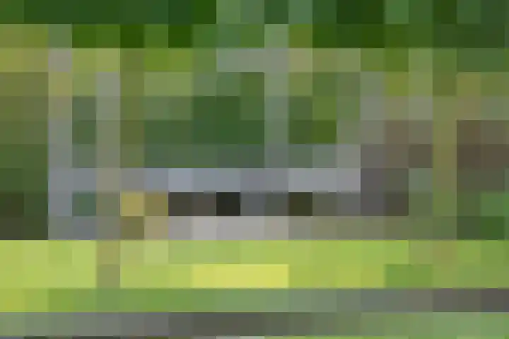 Oude Marswal 40 Zwolle thumbnail 57