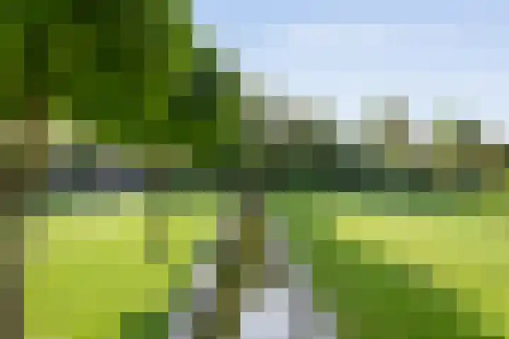 Oude Marswal 40 Zwolle thumbnail 6