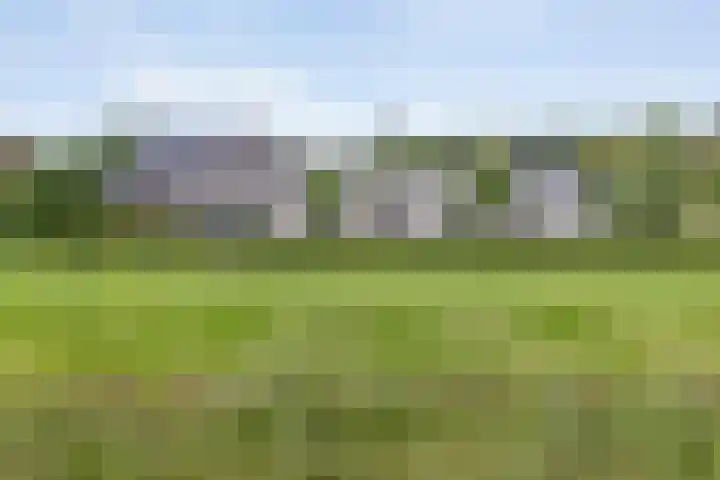 Oude Marswal 40 Zwolle thumbnail 62