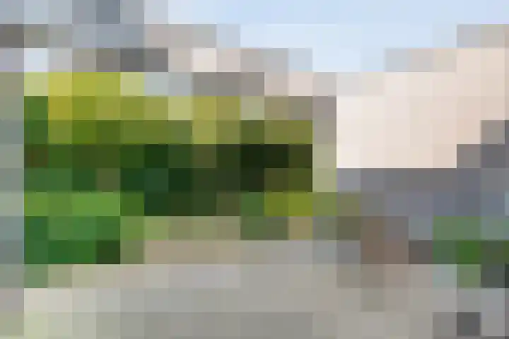 Oude Marswal 40 Zwolle thumbnail 66