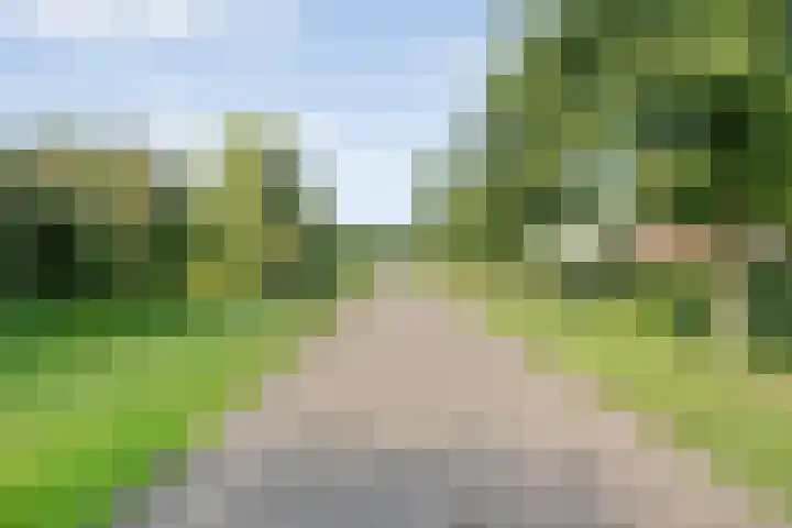 Oude Marswal 40 Zwolle thumbnail 71