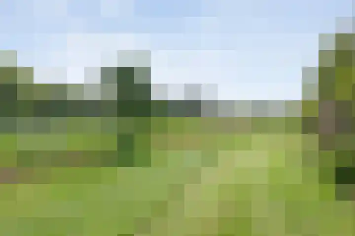 Oude Marswal 40 Zwolle thumbnail 72
