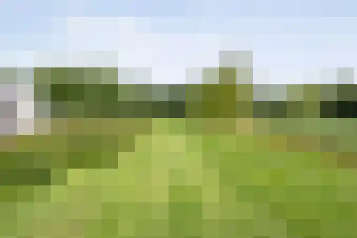 Oude Marswal 40 Zwolle thumbnail 73