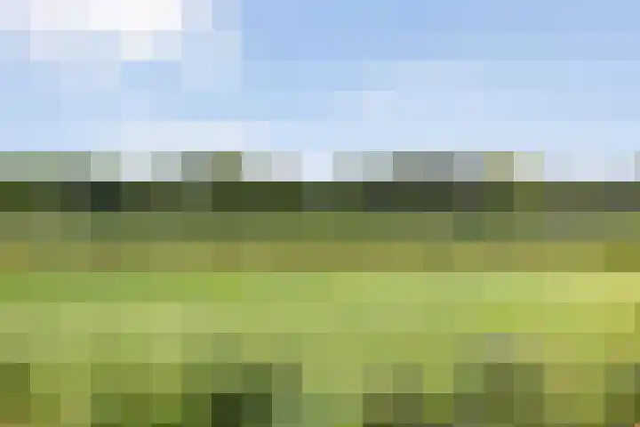 Oude Marswal 40 Zwolle thumbnail 74