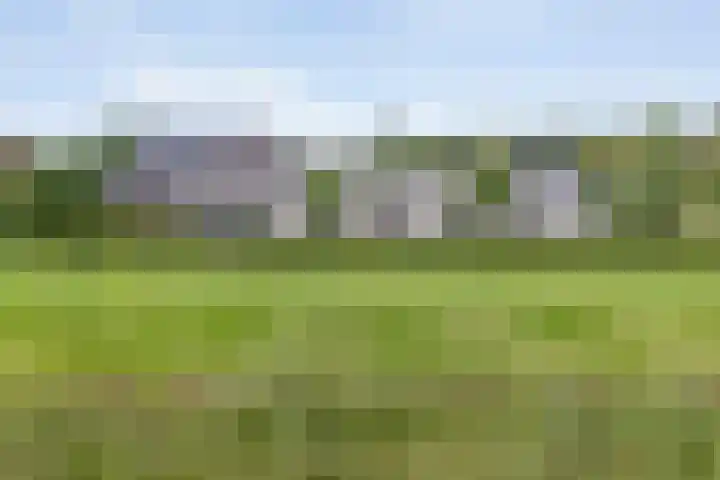 Oude Marswal 40 Zwolle thumbnail 8