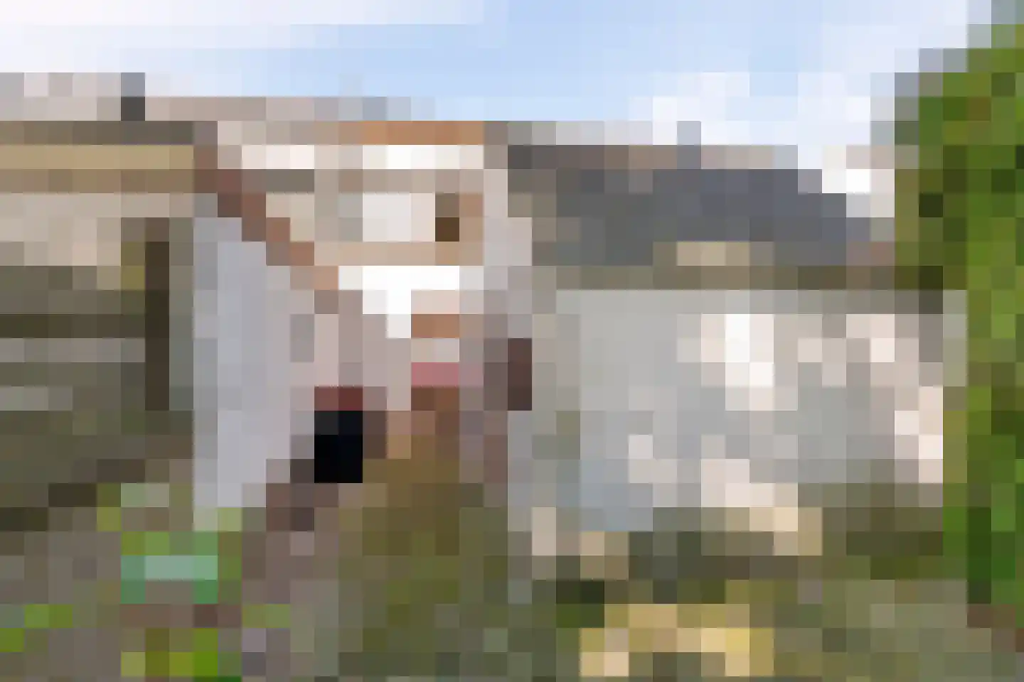 Oude Medelsestraat 78 Tiel thumbnail 23