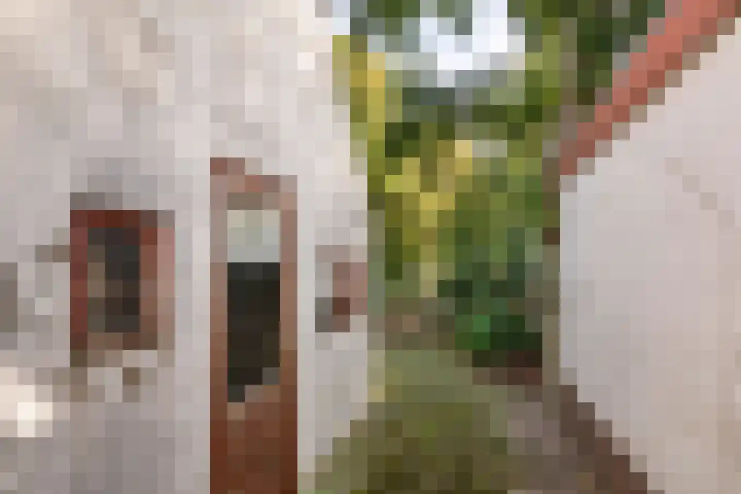 Oude Medelsestraat 78 Tiel thumbnail 25