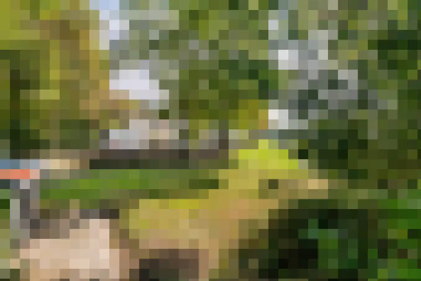 Oude Medelsestraat 78 Tiel thumbnail 26