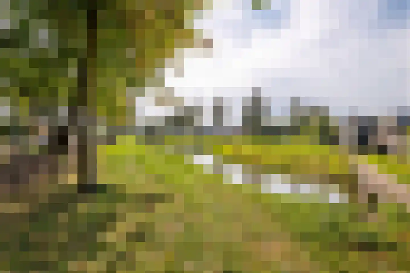 Oude Medelsestraat 78 Tiel thumbnail 29