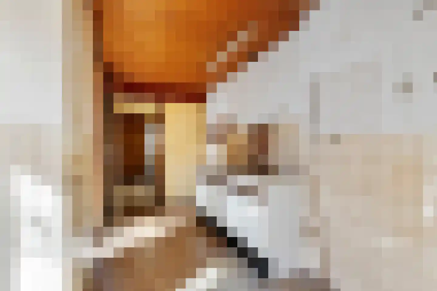 Oude Medelsestraat 78 Tiel thumbnail 8