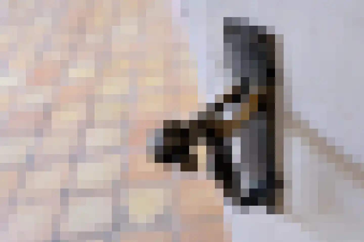 Oude Meengatstraat 3 Brummen thumbnail 20