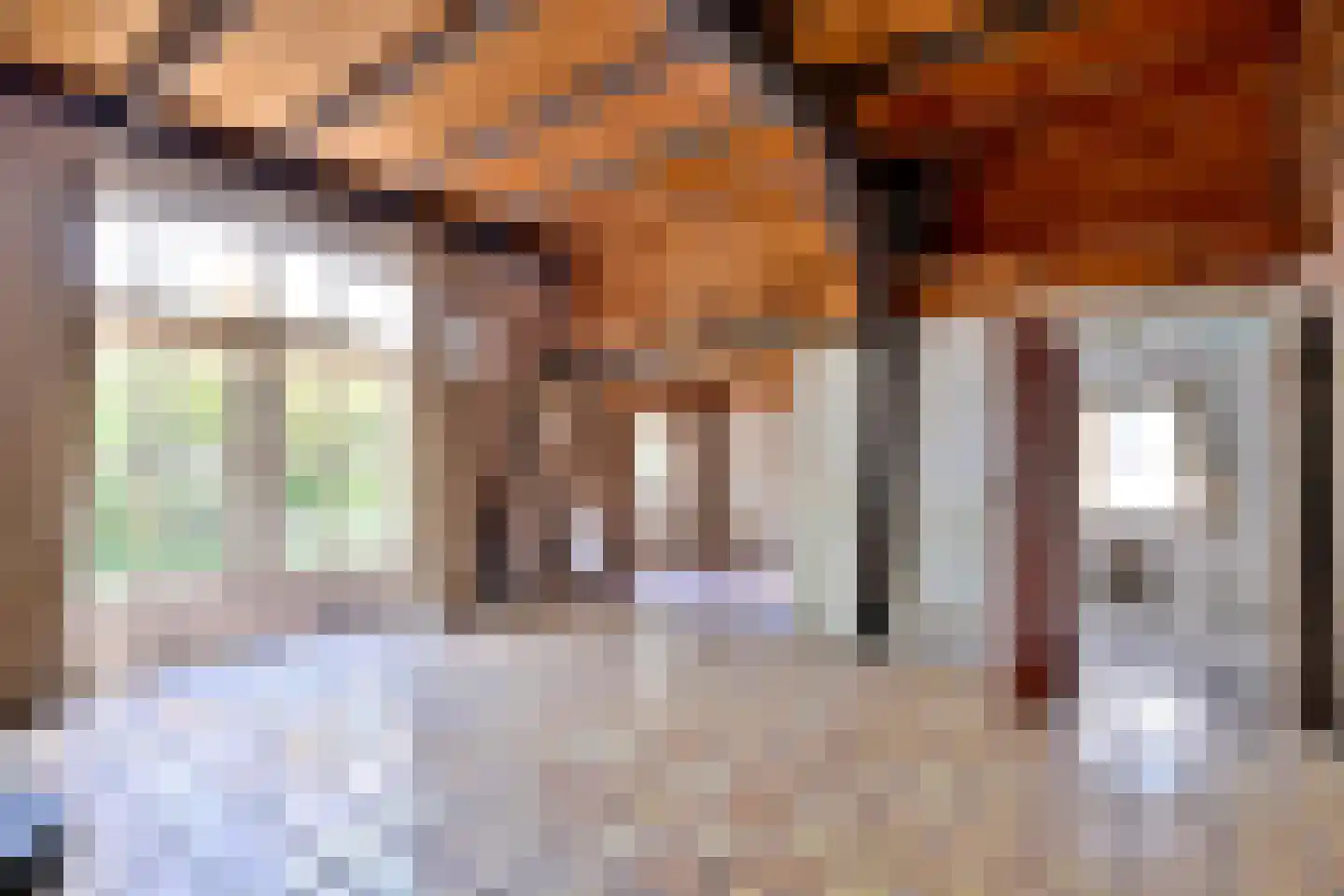 Oude Meengatstraat 3 Brummen thumbnail 21