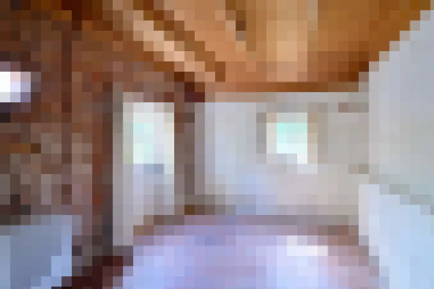 Oude Meengatstraat 3 Brummen thumbnail 24