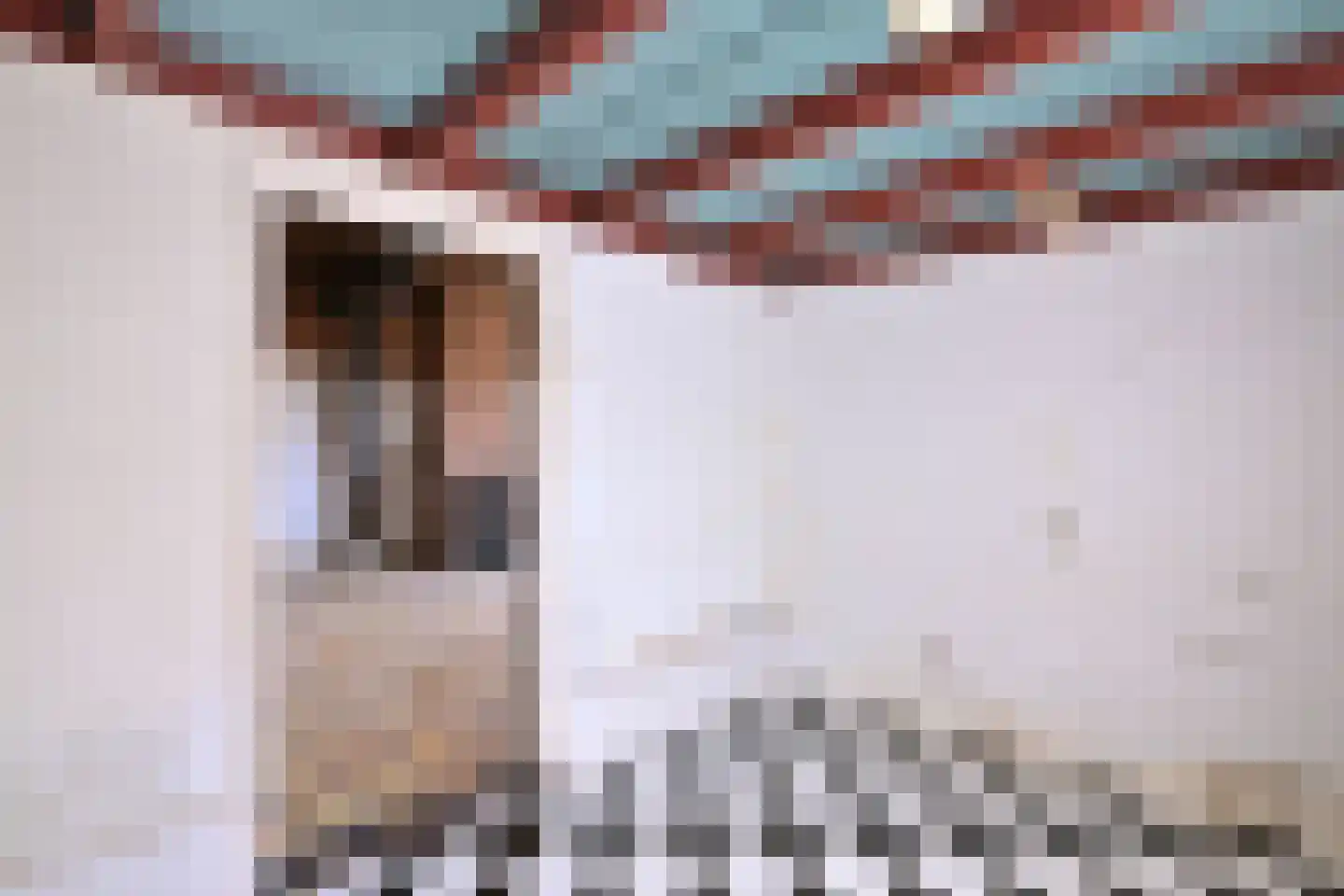 Oude Meengatstraat 3 Brummen thumbnail 27