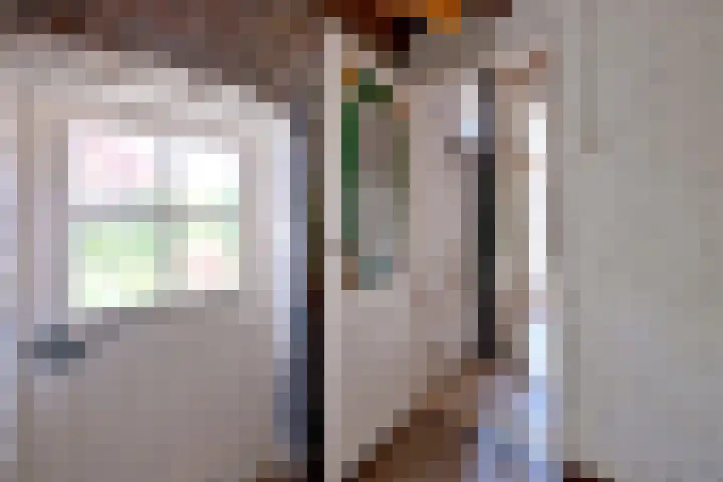 Oude Meengatstraat 3 Brummen thumbnail 29