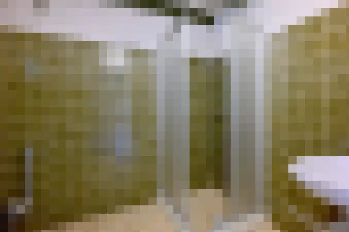 Oude Meengatstraat 3 Brummen thumbnail 30