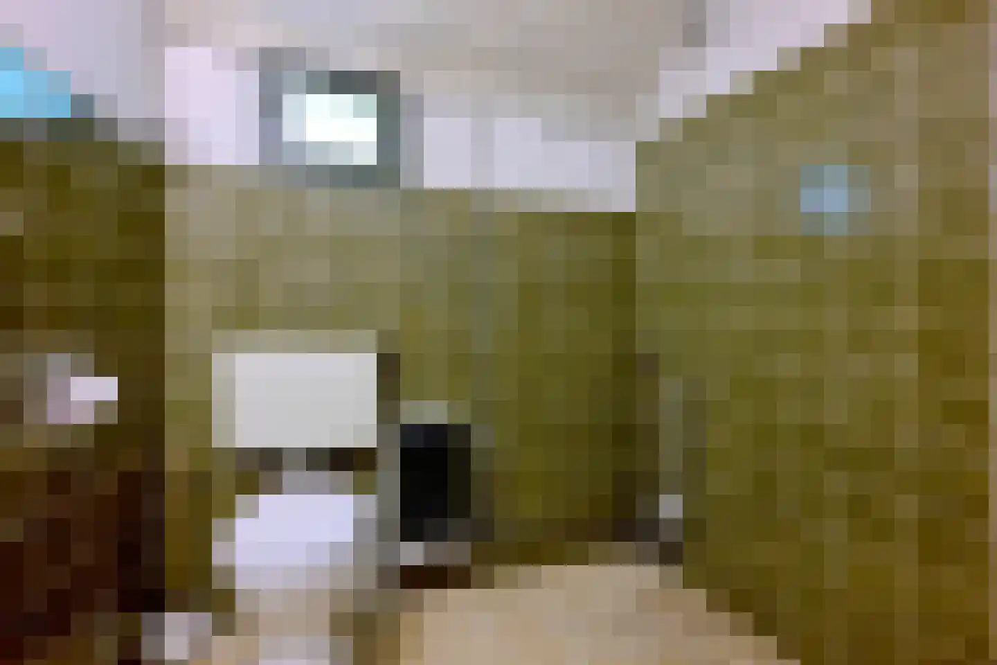 Oude Meengatstraat 3 Brummen thumbnail 31