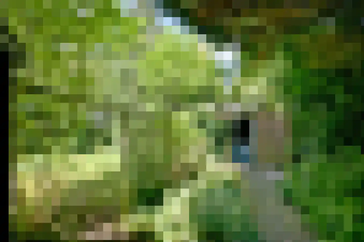 Oude Meengatstraat 3 Brummen thumbnail 36