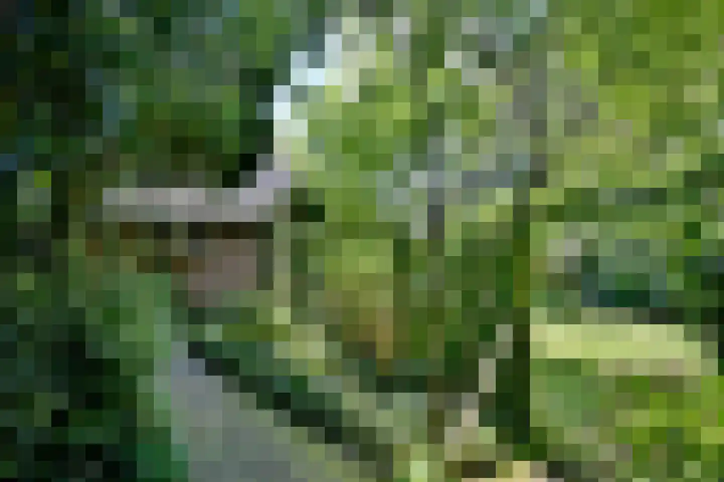 Oude Meengatstraat 3 Brummen thumbnail 37