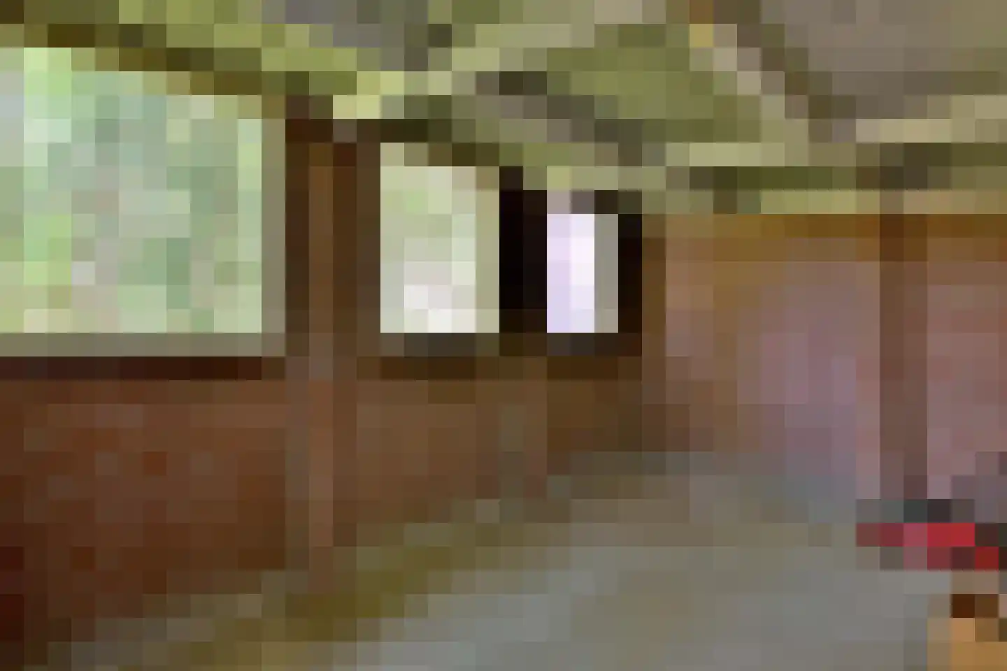 Oude Meengatstraat 3 Brummen thumbnail 38