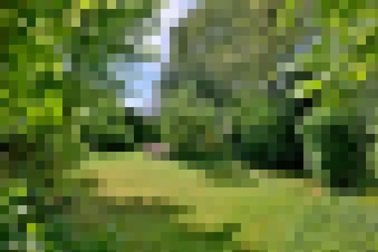 Oude Meengatstraat 3 Brummen thumbnail 39