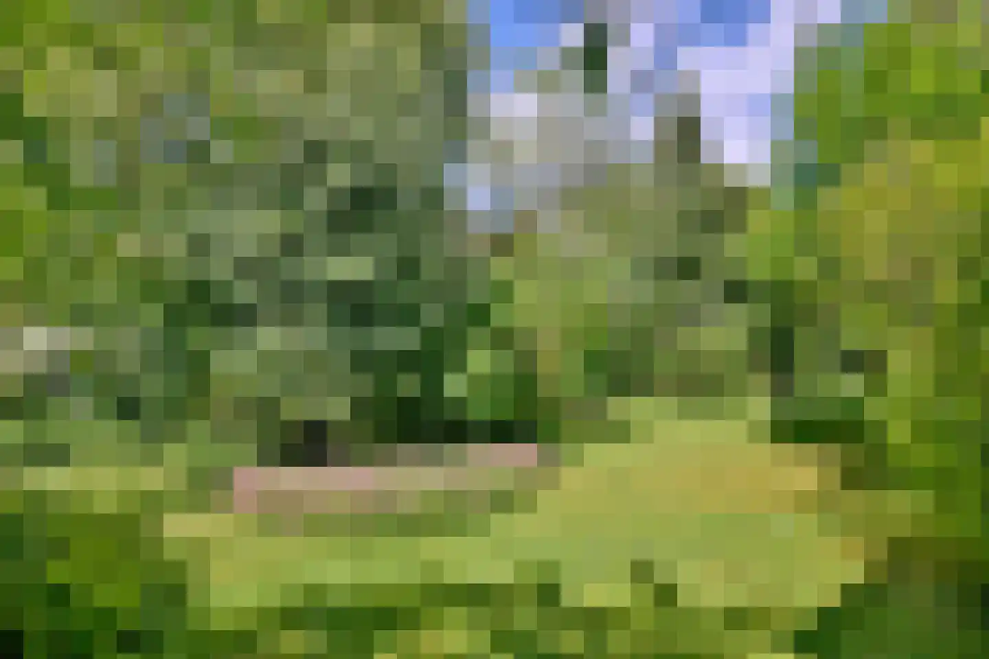 Oude Meengatstraat 3 Brummen thumbnail 41