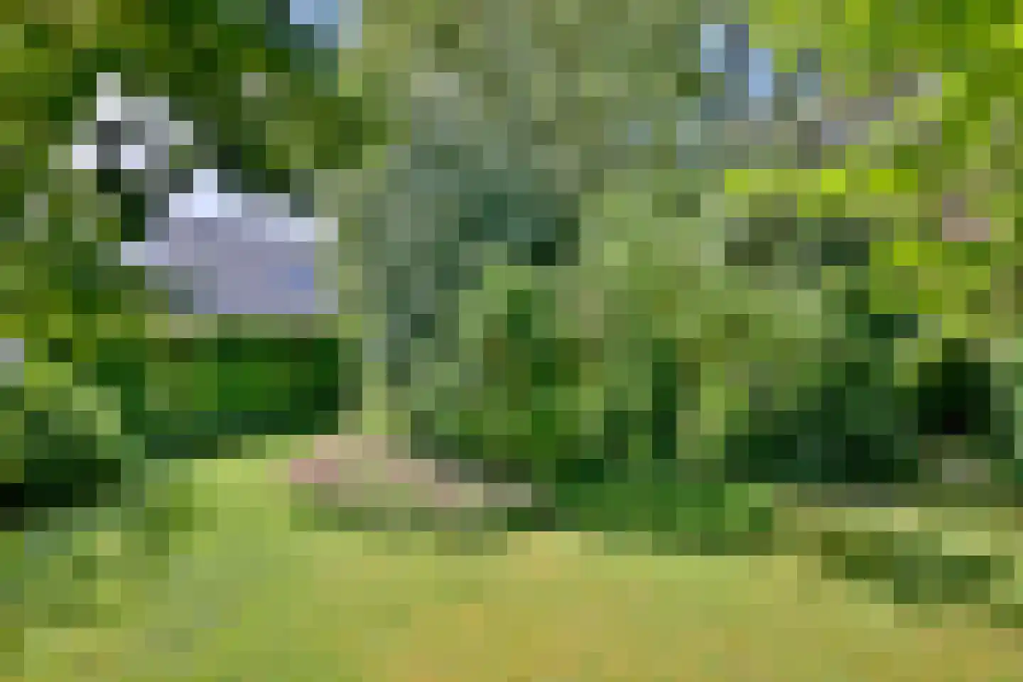 Oude Meengatstraat 3 Brummen thumbnail 42