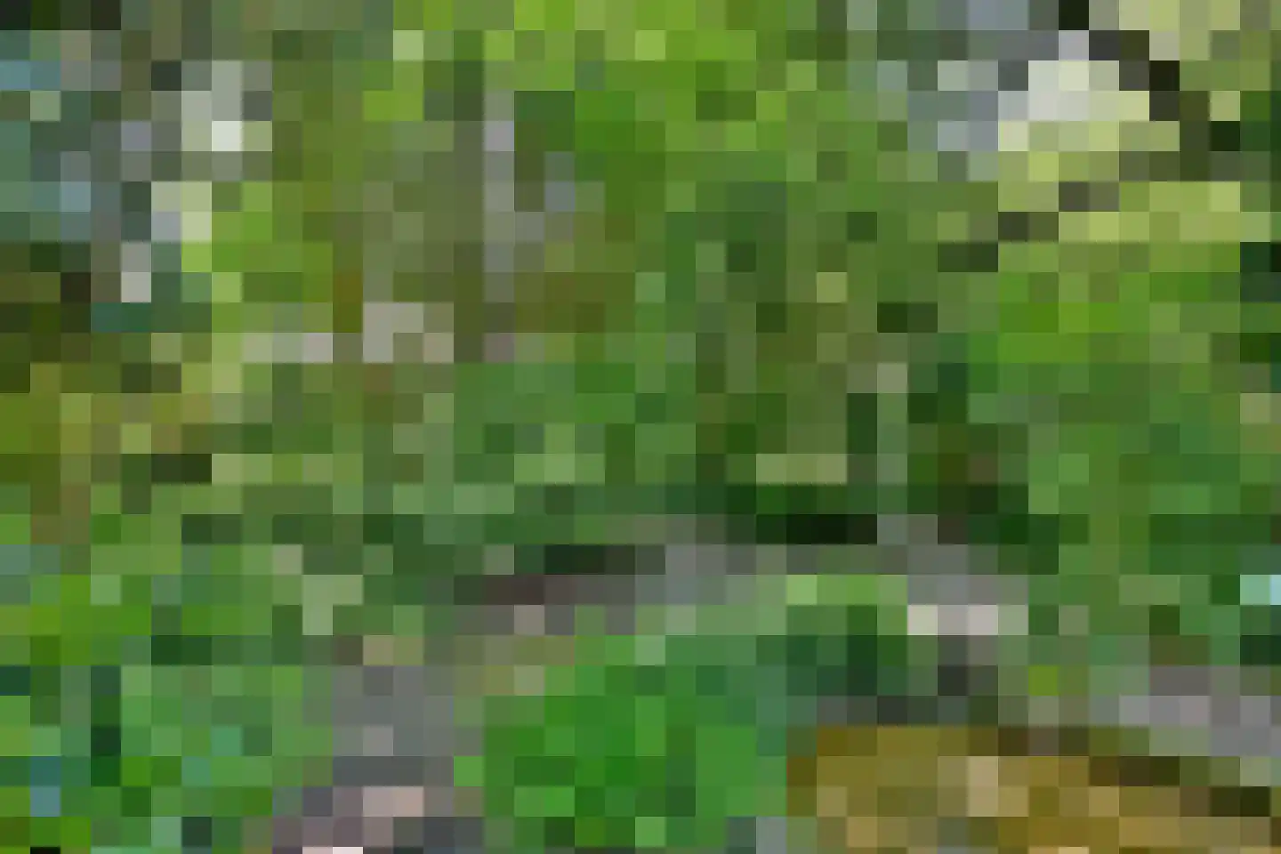 Oude Meengatstraat 3 Brummen thumbnail 43