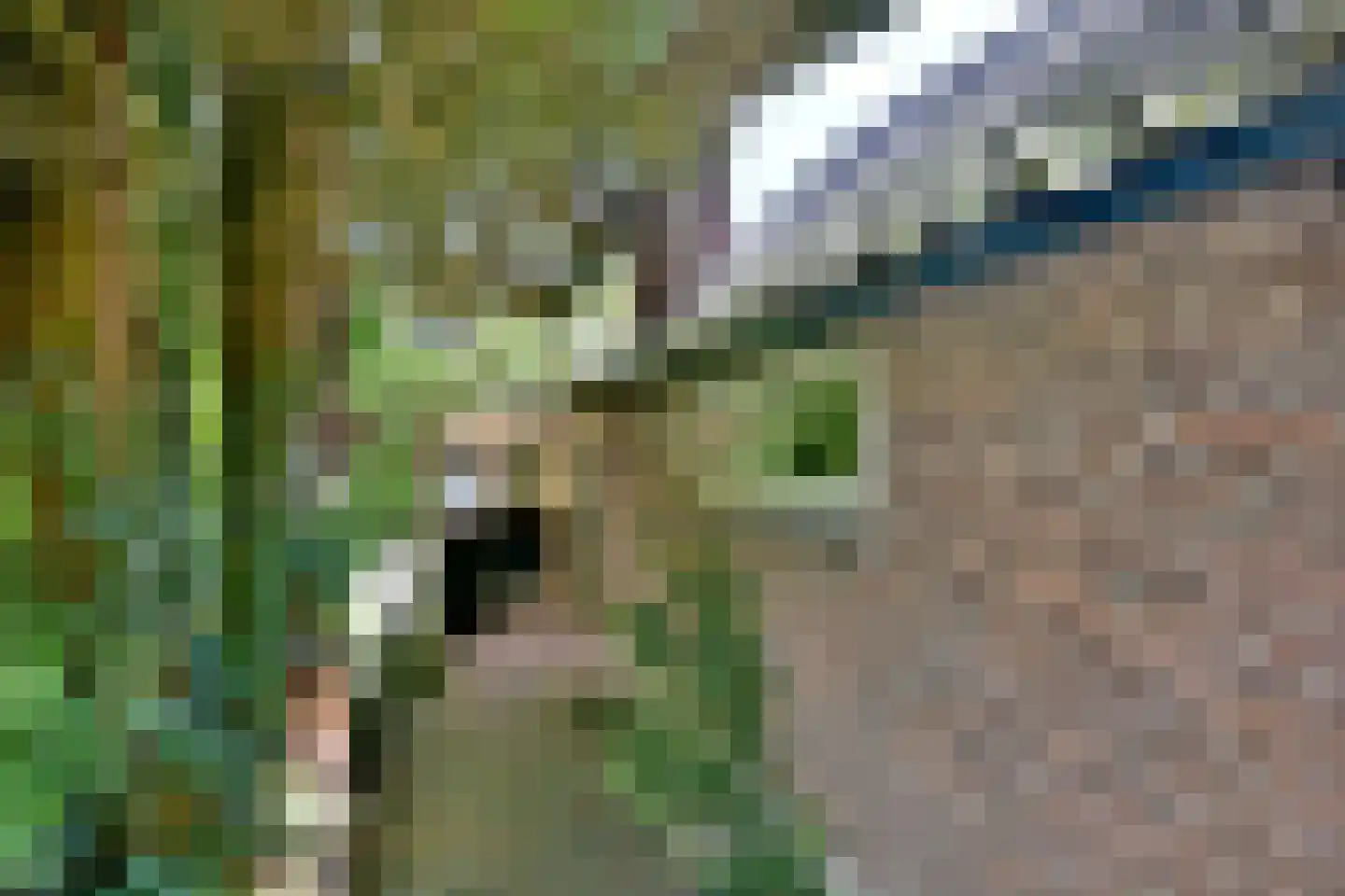 Oude Meengatstraat 3 Brummen thumbnail 44