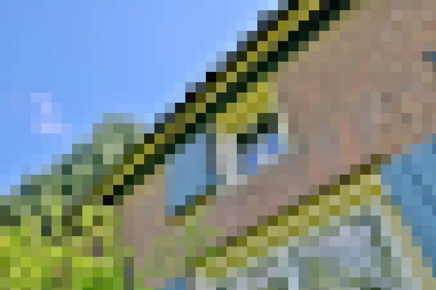 Oude Meengatstraat 3 Brummen thumbnail 47