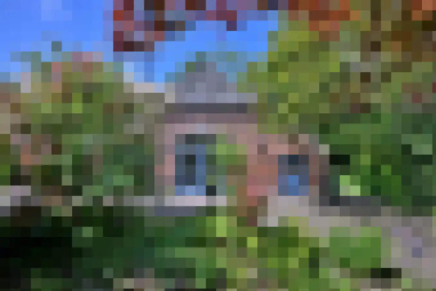 Oude Meengatstraat 3 Brummen thumbnail 5