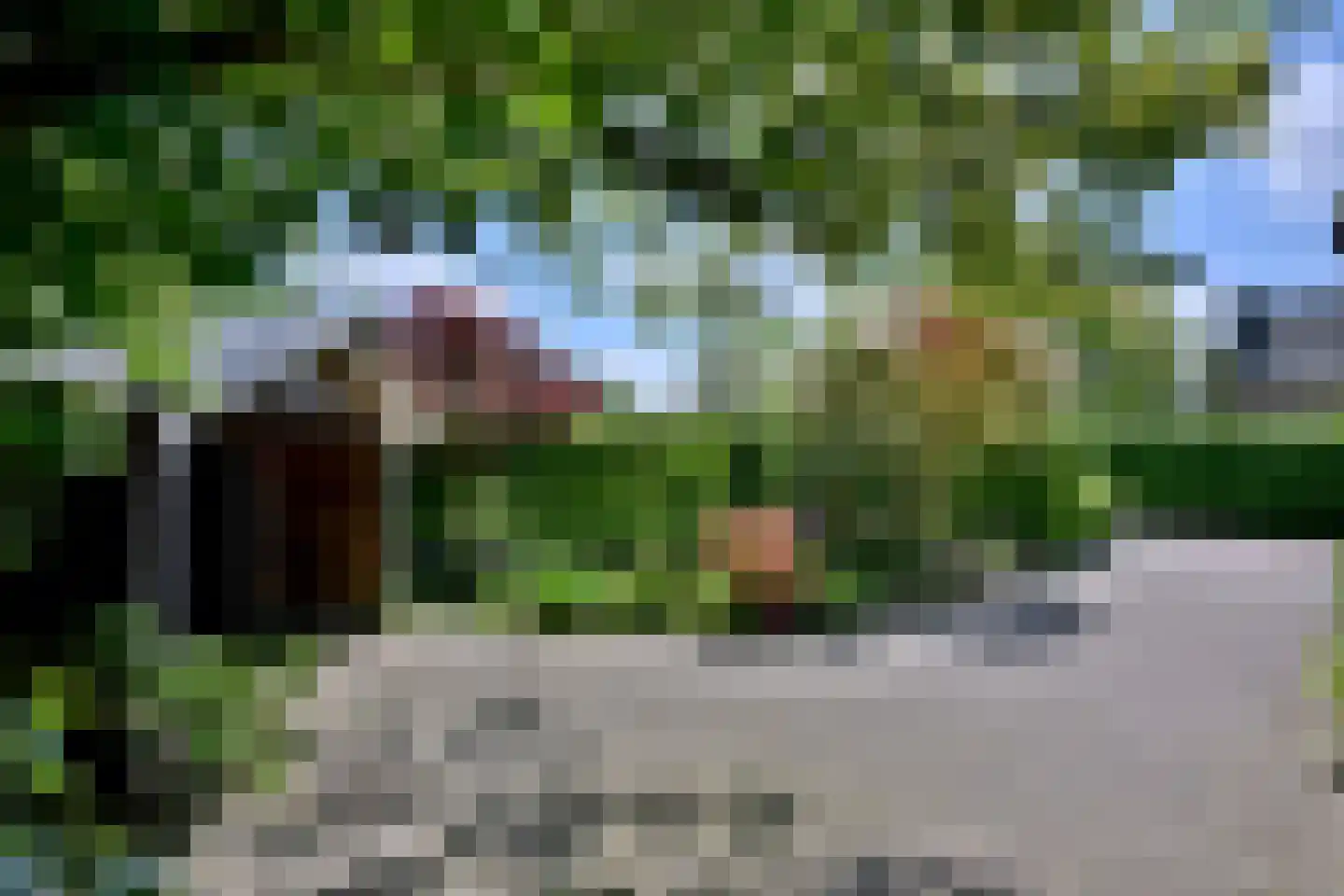 Oude Meengatstraat 3 Brummen thumbnail 50