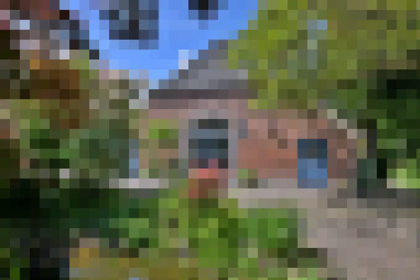 Oude Meengatstraat 3 Brummen thumbnail 51
