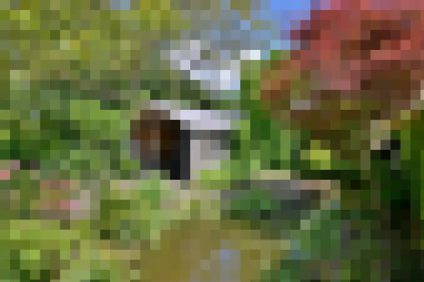 Oude Meengatstraat 3 Brummen thumbnail 52