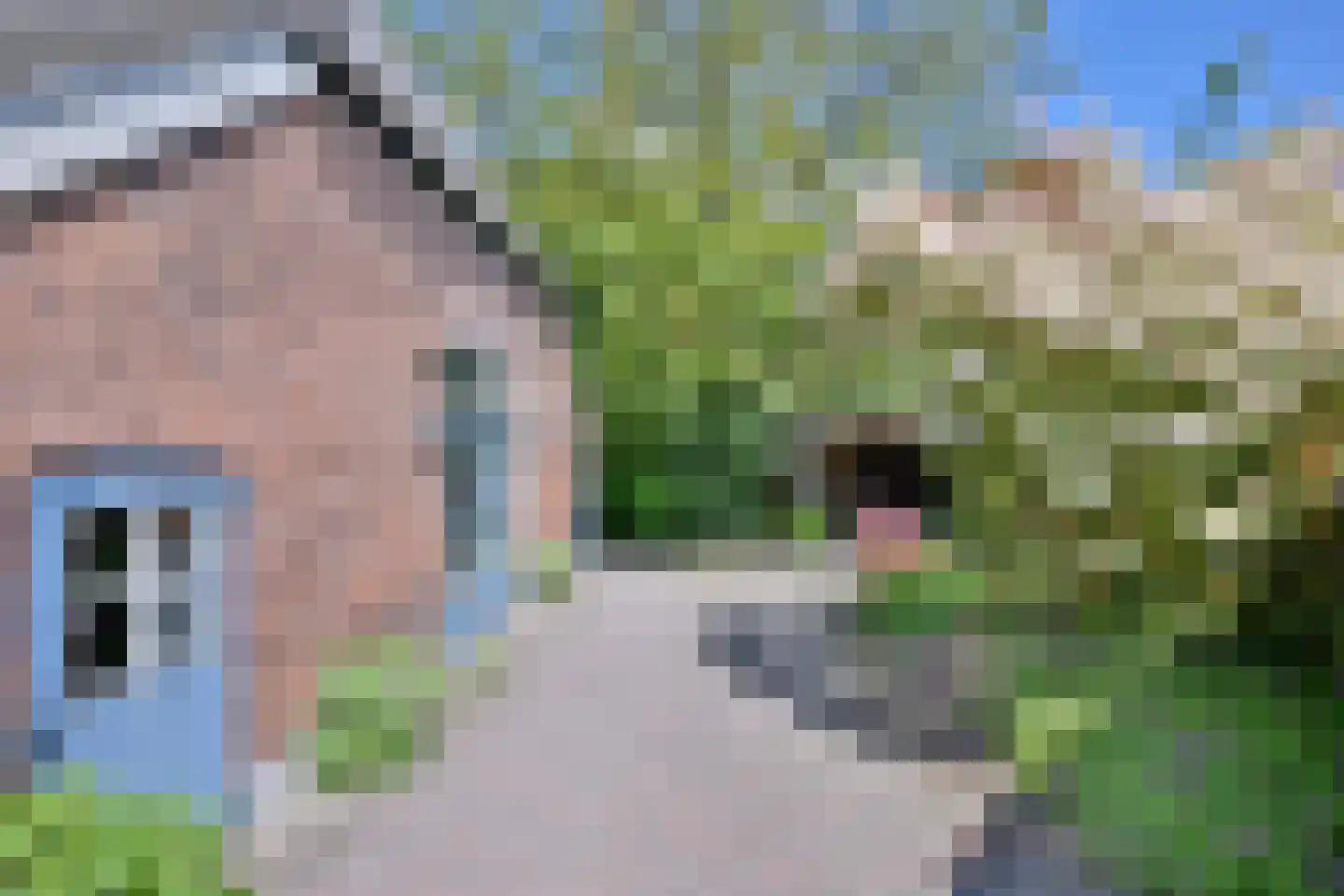 Oude Meengatstraat 3 Brummen thumbnail 6
