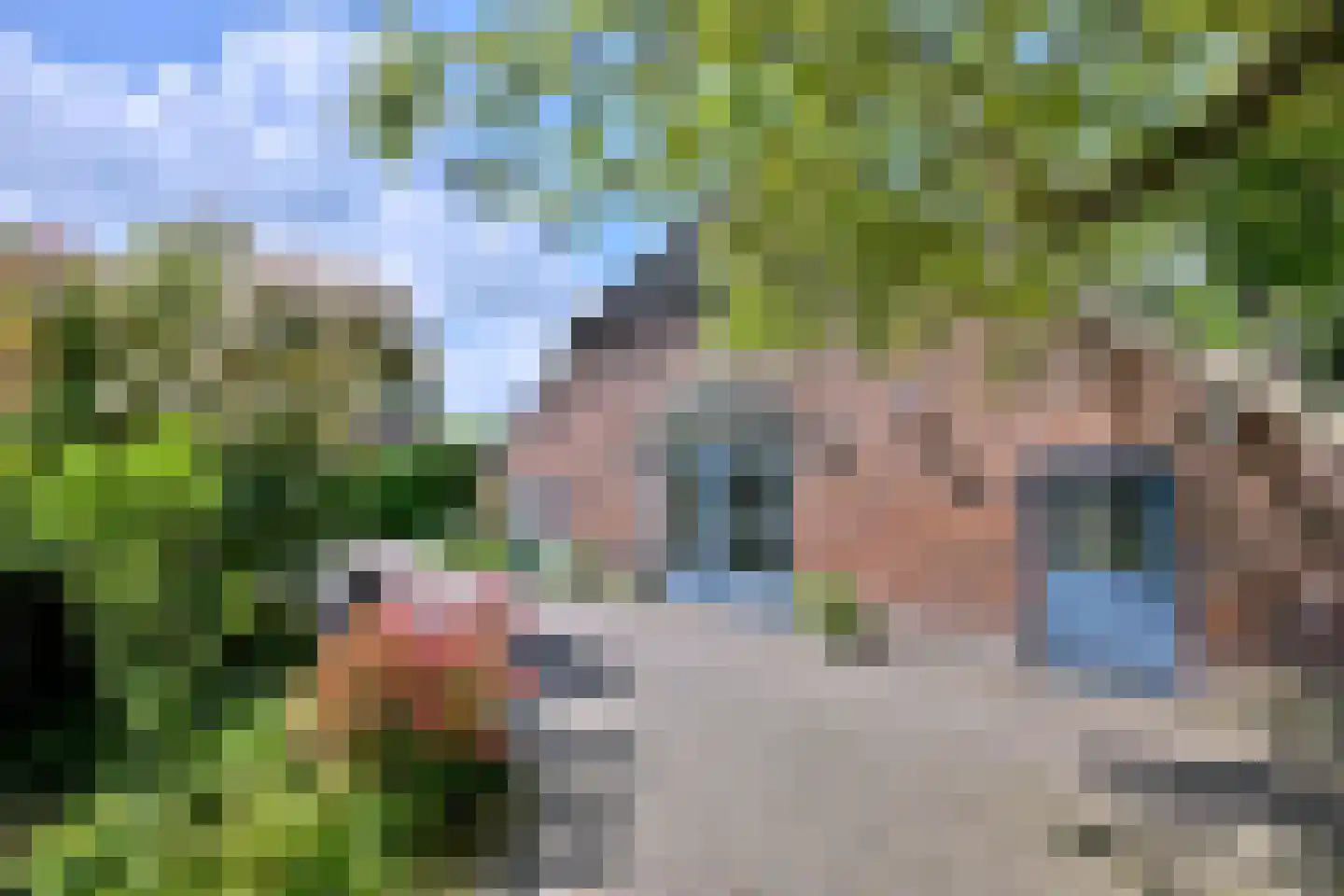 Oude Meengatstraat 3 Brummen thumbnail 8