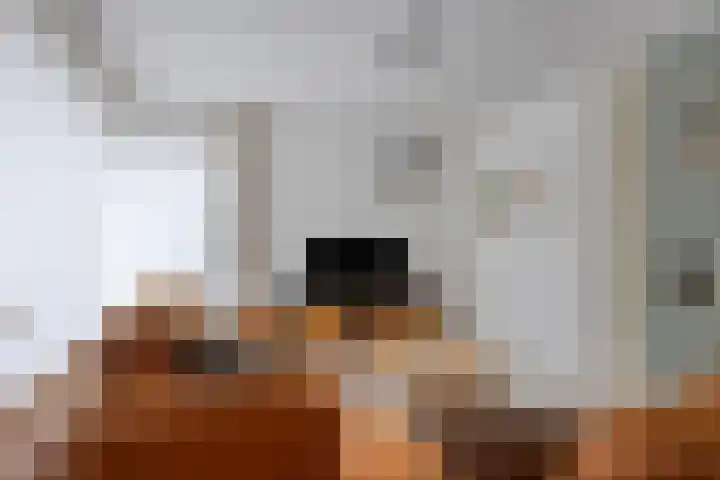 Oude Meer 21 Heythuysen thumbnail 11