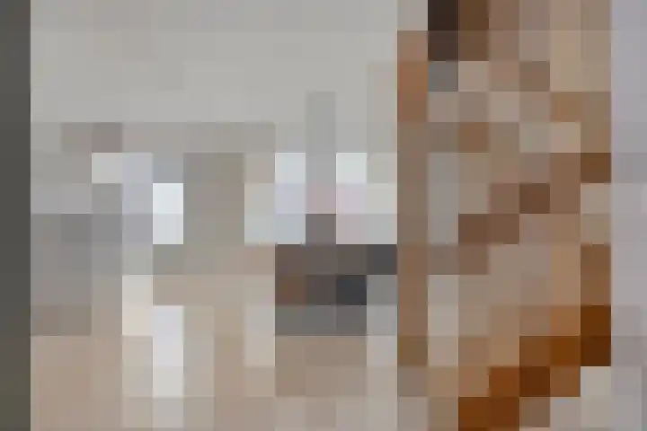 Oude Meer 21 Heythuysen thumbnail 14