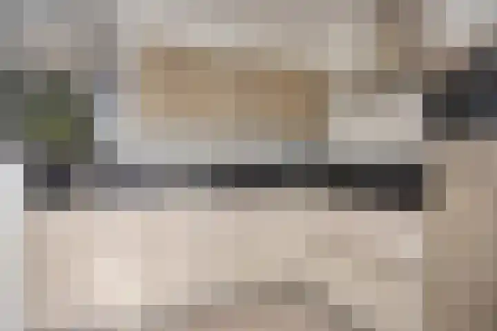 Oude Meer 21 Heythuysen thumbnail 22
