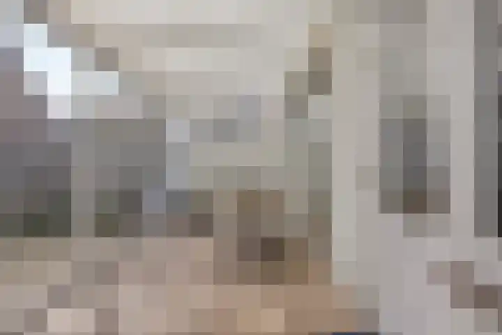 Oude Meer 21 Heythuysen thumbnail 48