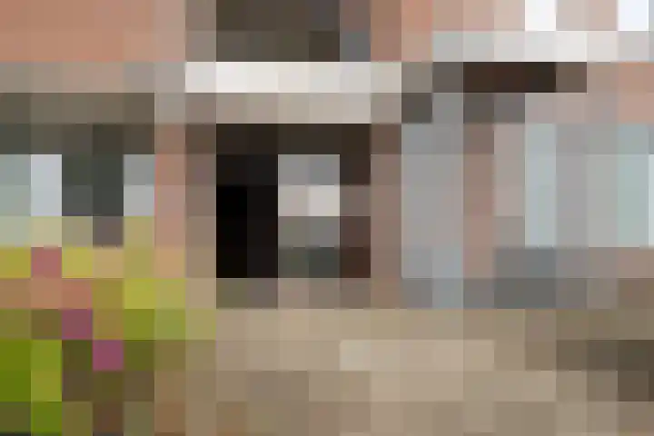 Oude Meer 26 Heythuysen thumbnail 18
