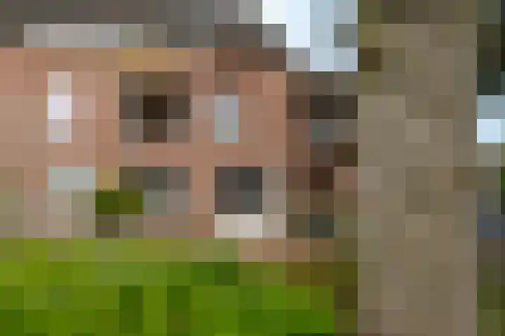 Oude Meer 26 Heythuysen thumbnail 20
