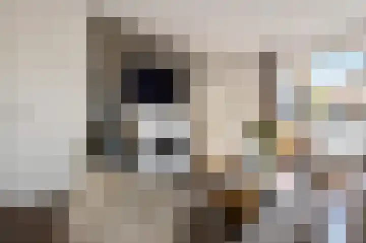 Oude Meer 58 Heythuysen thumbnail 10